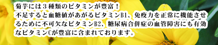 食物繊維イヌリンがとても豊富