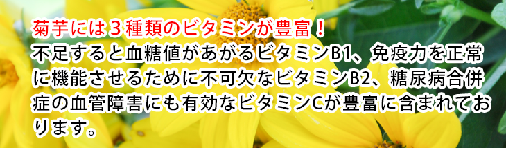 食物繊維イヌリンがとても豊富