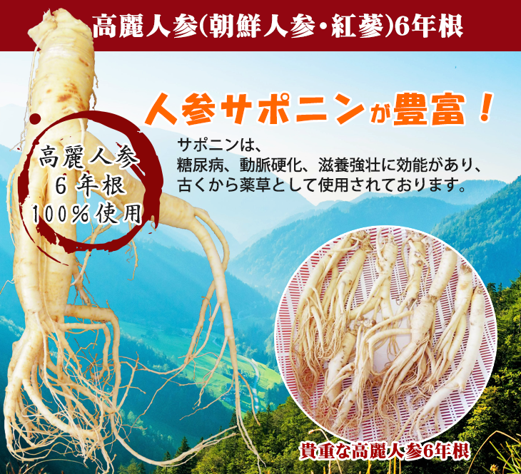 高麗人参・朝鮮人参の六年根